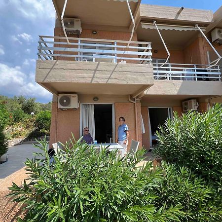 Galini Studios And Apartments Lassi  Dış mekan fotoğraf