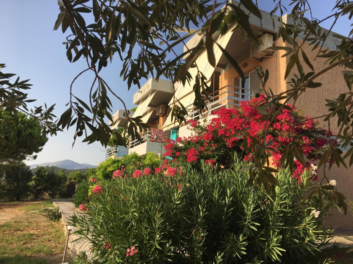 Galini Studios And Apartments Lassi  Dış mekan fotoğraf