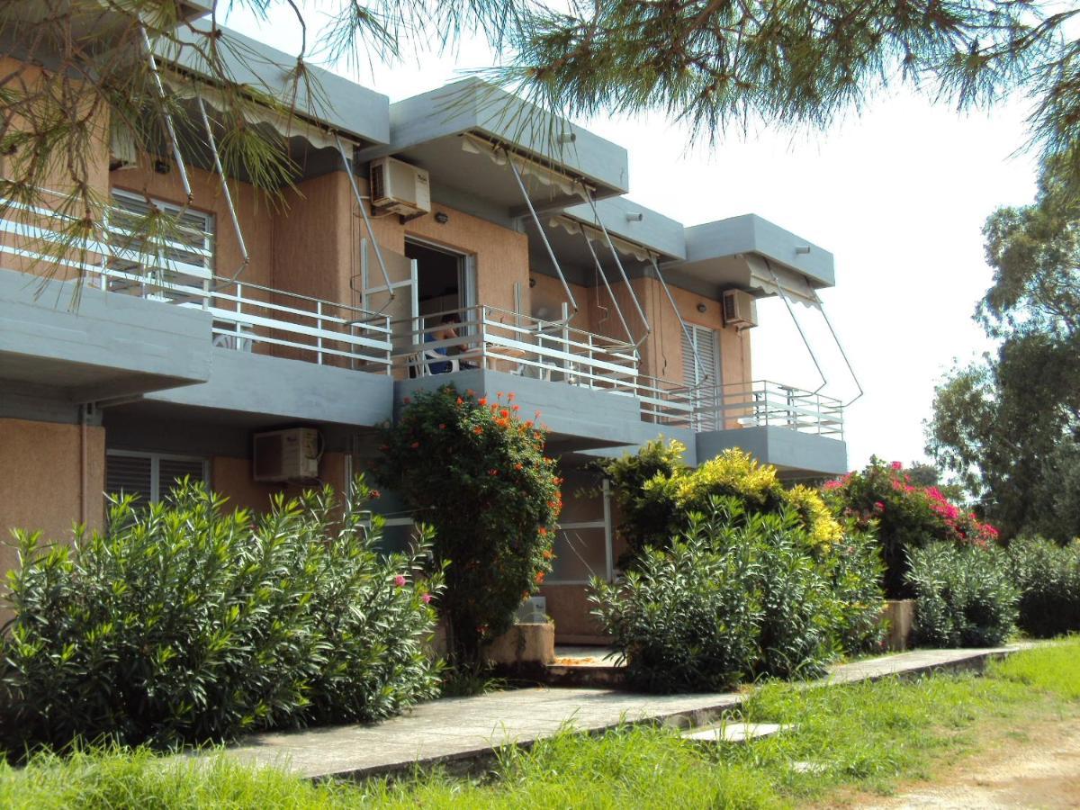 Galini Studios And Apartments Lassi  Dış mekan fotoğraf