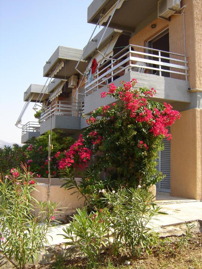 Galini Studios And Apartments Lassi  Dış mekan fotoğraf