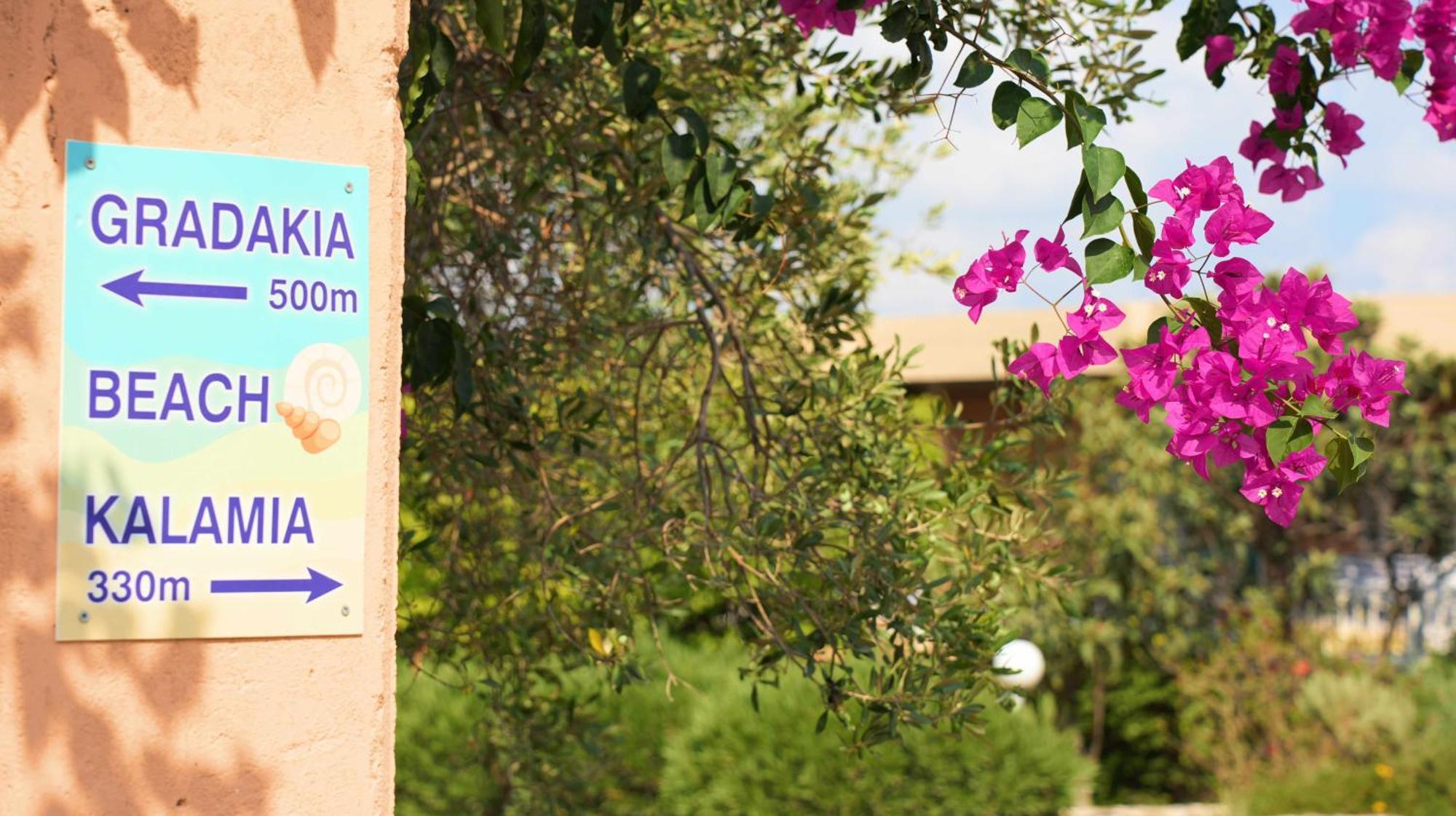 Galini Studios And Apartments Lassi  Dış mekan fotoğraf